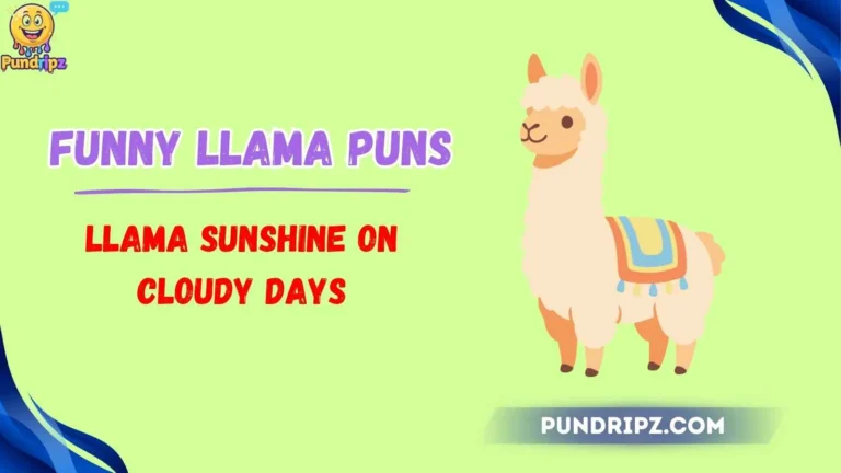 funny llama puns